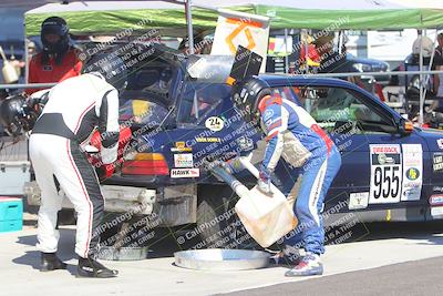 media/Oct-14-2023-Lucky Dog Racing (Sat) [[cef75db616]]/1st to 2nd Stint Driver Change/